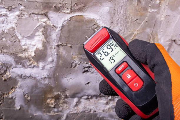 Best Emergency Mold Removal  in Spotswood, NJ