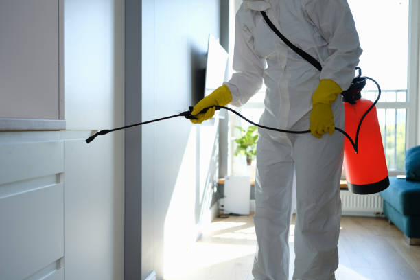 Best Mold Removal Near Me  in Spotswood, NJ