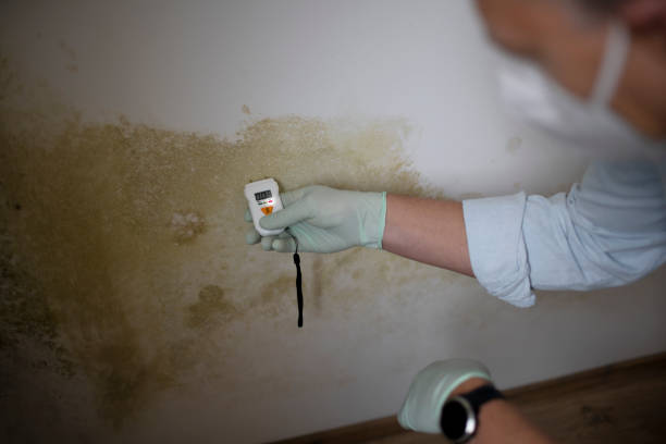 Best Water Damage Restoration  in Spotswood, NJ