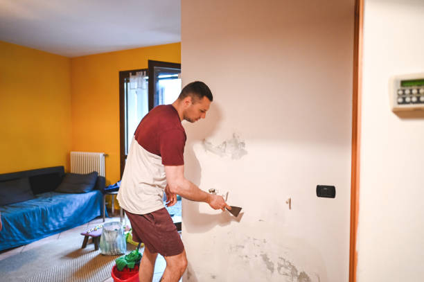 Best Mold Damage Repair  in Spotswood, NJ